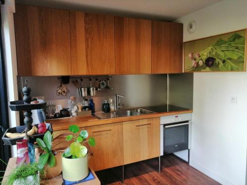 - une cuisine avec des placards en bois et un évier dans l'établissement Maison de charme, à Bordeaux
