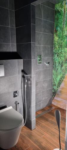 a bathroom with a shower with a toilet in it at Leśniczówka Kalina in Wetlina