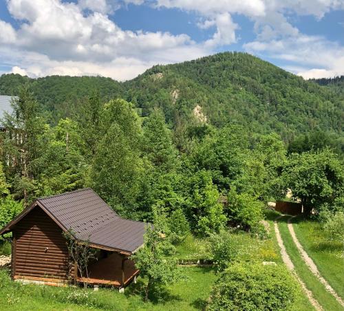 a small cabin in the middle of a mountain at Галіція in Beloberëzka