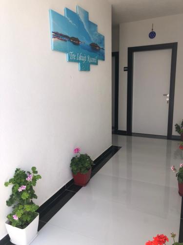 a lobby with potted plants and a sign on the wall at Vila Xhafa in Ksamil