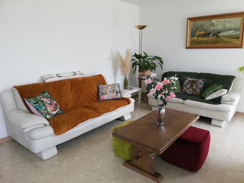 a living room with two couches and a coffee table at L'Opaline, Jolie Maison avec Jardin 6 pers,10km Honfleur, linge et internet inclus in Beuzeville