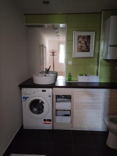 a bathroom with a sink and a washing machine at Patak28 Apartmanok in Sopron