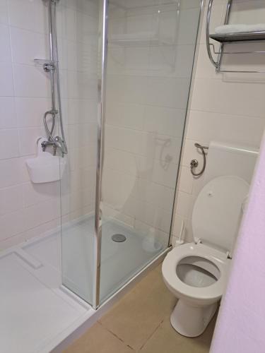 a bathroom with a toilet and a glass shower at Apartma PEPI in Rogaška Slatina