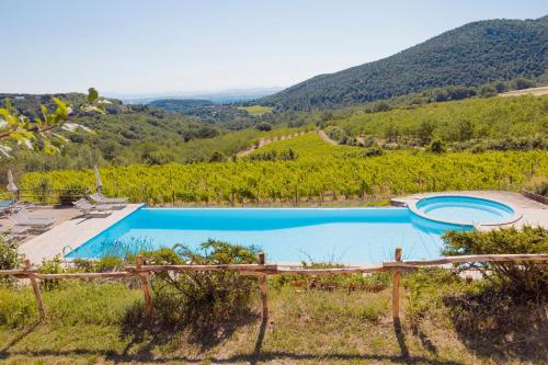 蒙特普齐亚诺Agriturismo Il Serraglio的享有葡萄园和山脉景致的游泳池