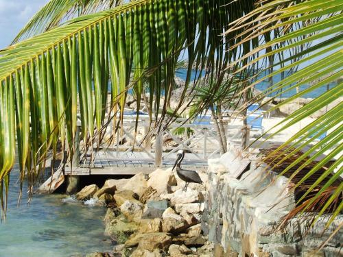  Northshore Seaside Suites -  Room  picture :   Shower    Air conditioning    Hairdryer                           