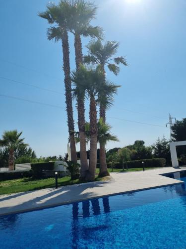 Villa Katilore – Photos 5