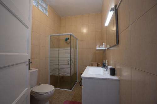 ポンタ・デルガダにあるConforto Citadinoのバスルーム(トイレ、洗面台、シャワー付)
