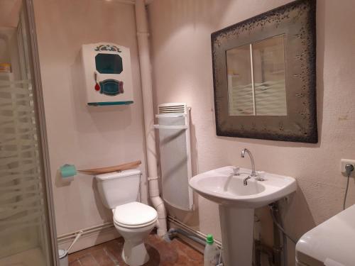 a bathroom with a toilet and a sink and a mirror at Le gîte de Fifi . Au cœur de la cité médiéval. in Salers