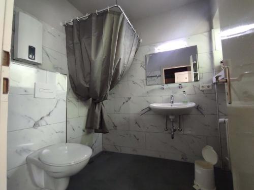 a bathroom with a toilet and a sink at Ferienwohnung Schüler-Wolke 2 in Sankt Andreasberg