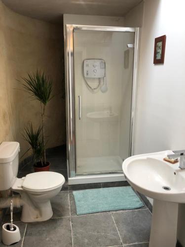 a bathroom with a shower and a toilet and a sink at Teach Talamh in Kinvara