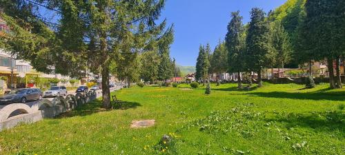 a green park with cars parked on a street at AKY Residence in Slănic-Moldova