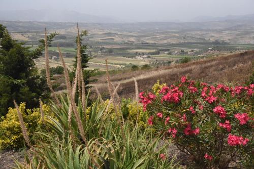 a view of the hills from the hillside with pink flowers at La valle degli dei in Eraclea Minoa