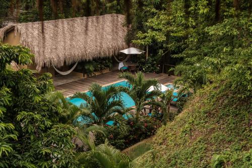 a resort with a swimming pool and a straw roof at Hotel Isabella Tayrona in Los Naranjos