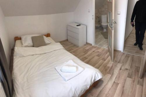HoÅ¡Å¥ka的住宿－Apartment Diana，一间带一张床和步入式淋浴间的小卧室