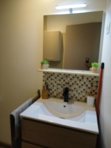 a bathroom with a sink and a mirror at Joli appartement dans village calme en Provence in Les Mées