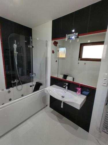 a bathroom with a sink and a shower at Pozlovice225 in Pozlovice