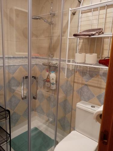 a bathroom with a shower and a toilet at San Martín in Sotés