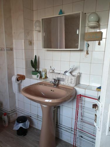 une salle de bain avec un lavabo et un miroir dans l'établissement appartement malo les bains plage, à Dunkerque