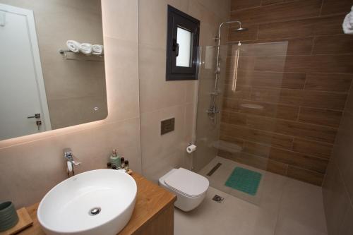 une salle de bain avec un lavabo, des toilettes et une douche dans l'établissement George‘s Place Kastrosikia, à Kastrosikia