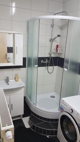 a bathroom with a shower and a washing machine at Apartment ZEKO in Veliki Lovrečan