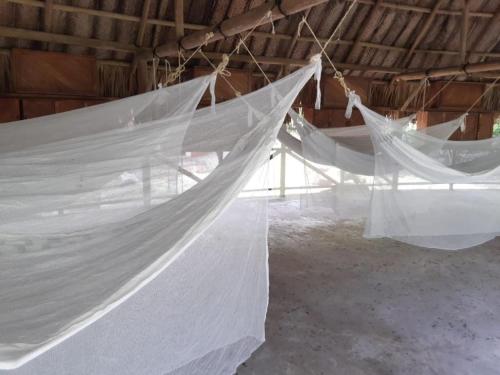a group of white hammocks hanging in a barn at Camping Tequendama - Parque Tayrona in El Zaino