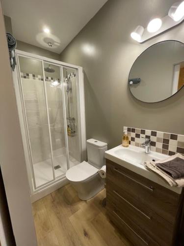 a bathroom with a shower and a toilet and a sink at Gîte et chambres d'hôtes - Sur le chemin des sens in Azerat