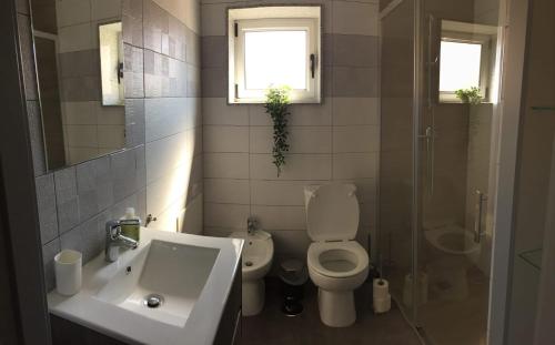 a bathroom with a sink and a toilet and a shower at Apartamento Armães in Viana do Castelo
