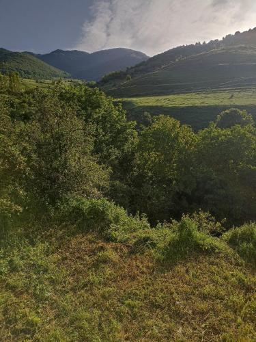 a green field with trees and mountains in the background at AMOJ B&B and Guest house in Alaverdi