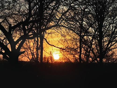 a sunset behind some trees in a field at Villa commune PoldersView in Sluis