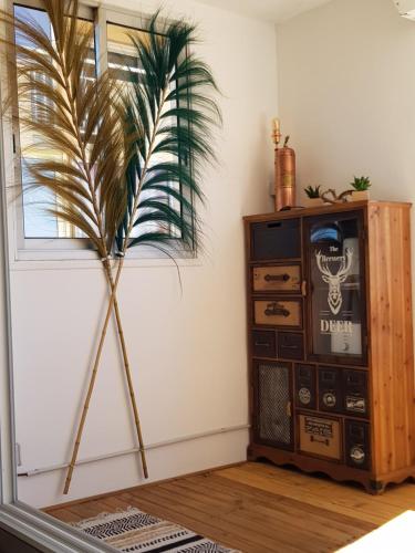 een kamer met een ouderwetse radio en een palmboom bij La Galiote in Frontignan