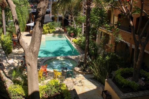 an overhead view of a swimming pool in a garden at Casa de Adobe Gallery & Luxury Boutique in Oaxaca City