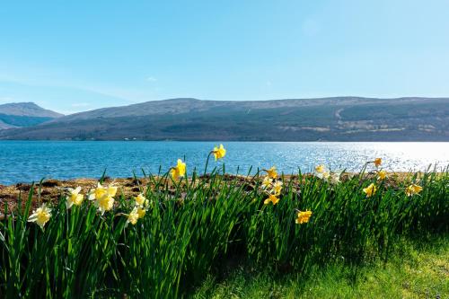 a bunch of flowers in the grass near a body of water at Loch Fyne Hotel & Spa in Inveraray