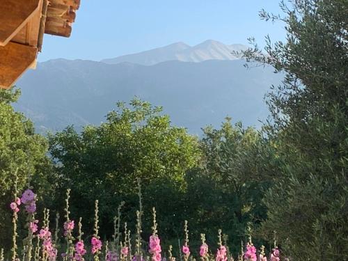 Γενική θέα στο βουνό ή θέα στο βουνό από  αυτή η βίλα