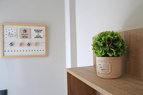 a potted plant sitting on a shelf next to a picture at John's apartment's near Athens Airport!! in Spáta