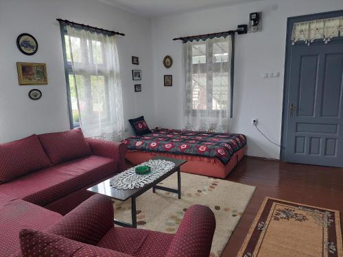a living room with a couch and a coffee table at Apartmani Petkovic 226 in Velika Drenova