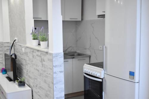 Kuchyň nebo kuchyňský kout v ubytování Apartman Maja