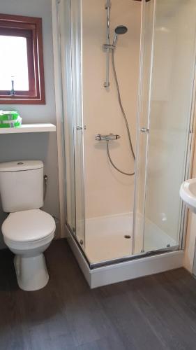 La salle de bains est pourvue d'une douche, de toilettes et d'un lavabo. dans l'établissement Chalet 11, in het bos, à Doornspijk