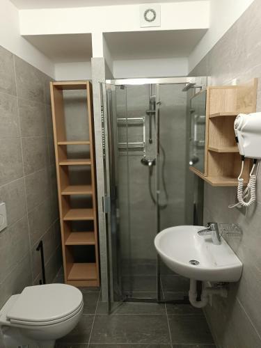 a bathroom with a shower and a toilet and a sink at Gufo Depandance in Bormio