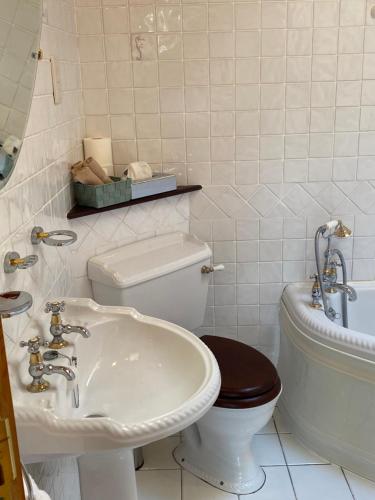 a white bathroom with a toilet and a sink at Atlantic Lodge in Galway
