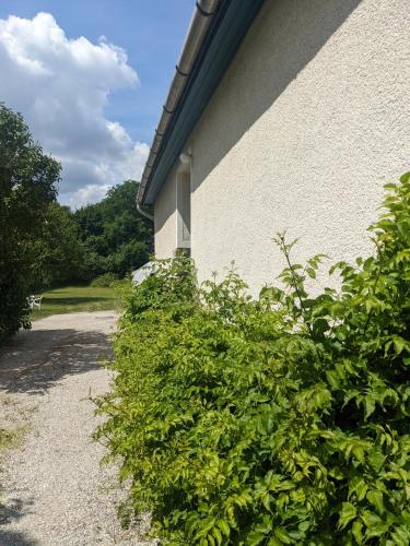 a building with green bushes next to a building at Tulipan Haz in Szilvásvárad