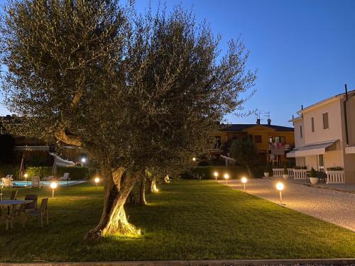 a tree in the grass with lights on it at Le Naiadi Appartamenti in Bolsena