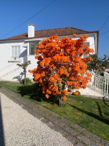 a orange tree in front of a house at Casa das Uveiras in Paços de Ferreira
