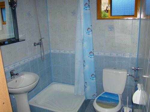 a blue bathroom with a toilet and a sink at Domek Letniskowy 7 in Zawóz