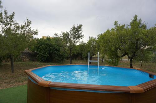 Swimmingpoolen hos eller tæt på Casa El Regall