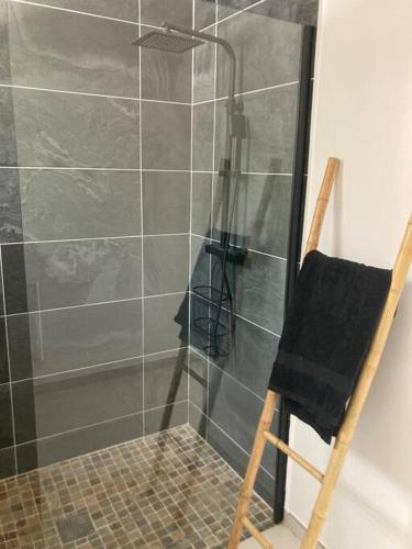 a shower with a glass door in a bathroom at KAZ'ANTILLAISE APPT AVEC PISCINE TI MAEVA 3/4P. LE LAMENTIN in Le Lamentin