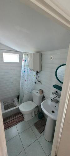 a bathroom with a toilet and a sink at DOM BURSZTYNEK -domek drewniany in Junoszyno
