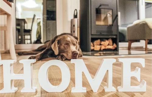 Ein brauner Hund lag auf dem Boden mit dem Wort "glücklich" in der Unterkunft Beautiful Home In Ostseeresort Olpenitz in Olpenitz
