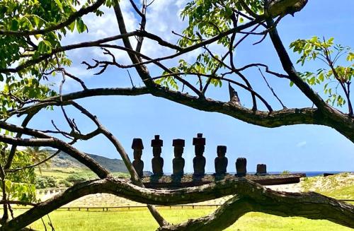 a branch of a tree with statues on it at Kahina Lodge in Hanga Roa