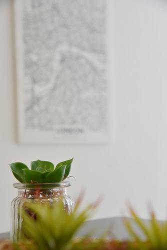 a glass jar with a plant inside of it at Luminosos y modernos departamentos en Rosario in Rosario