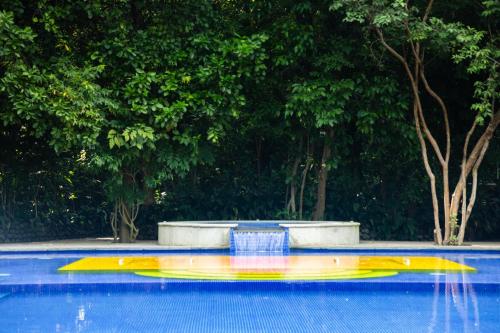 Kolam renang di atau di dekat Hotel La Casa de los Árboles Immersive Experience